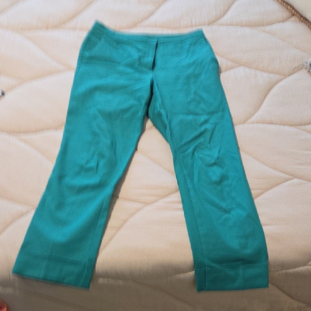 Ann Taylor Factory Kids Turquoise Casual Pants